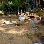 Pinescape Homestay
