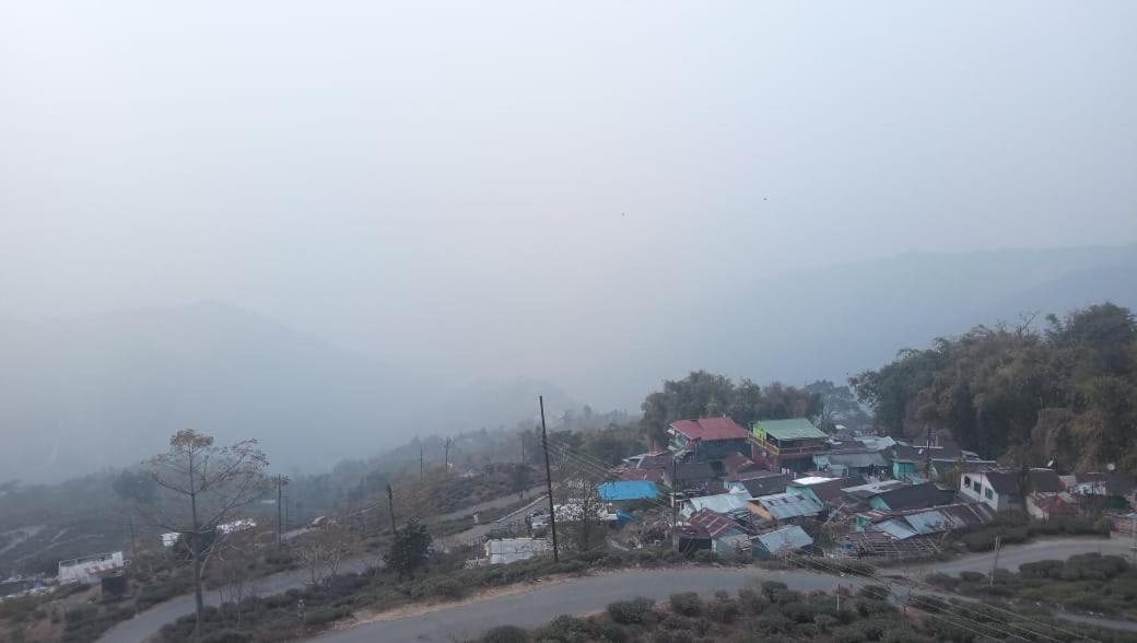 Vamoose Sanjeema Tea Estate * Kurseong