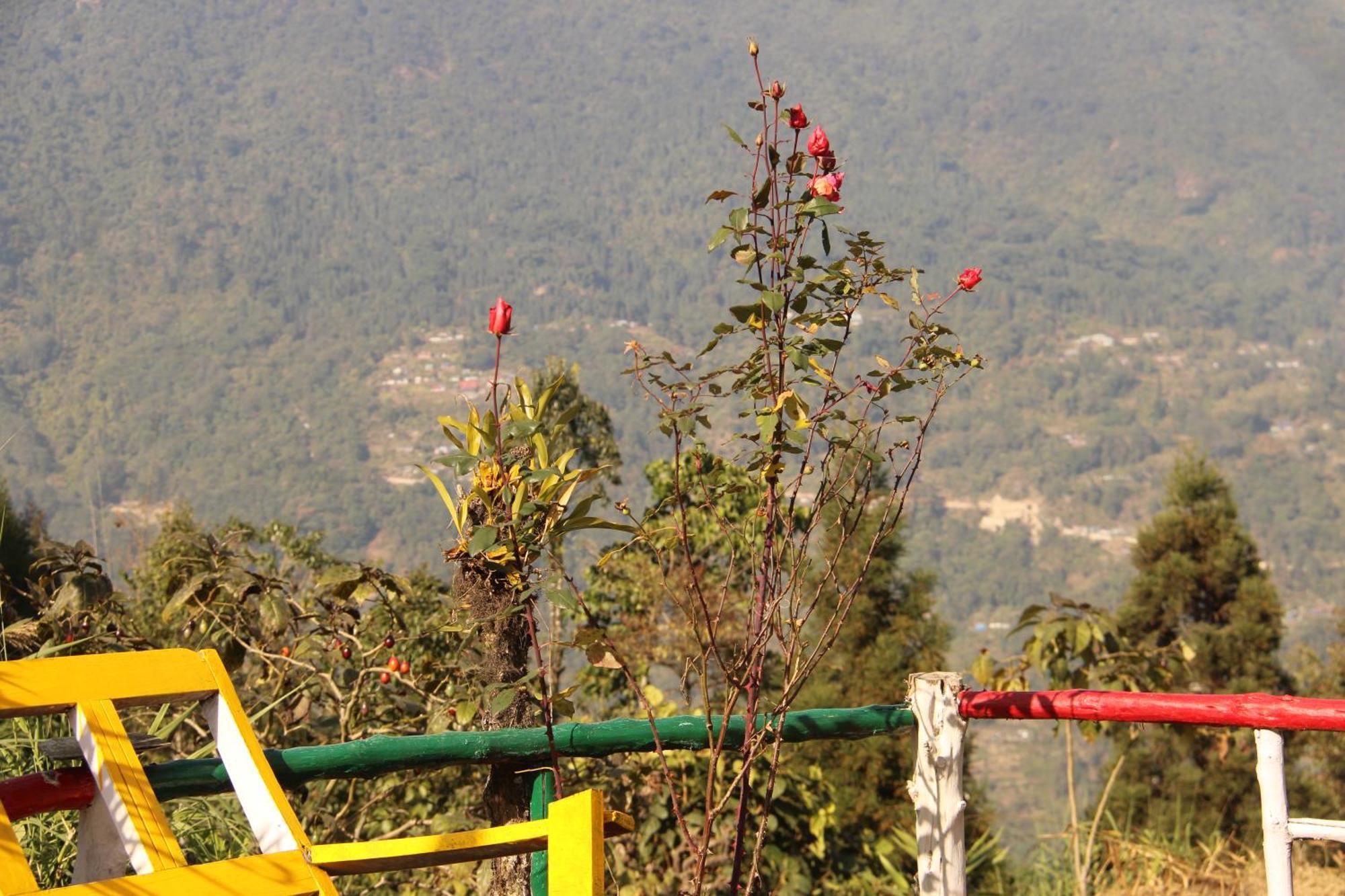 Montavilla Eden Sittong Homestay