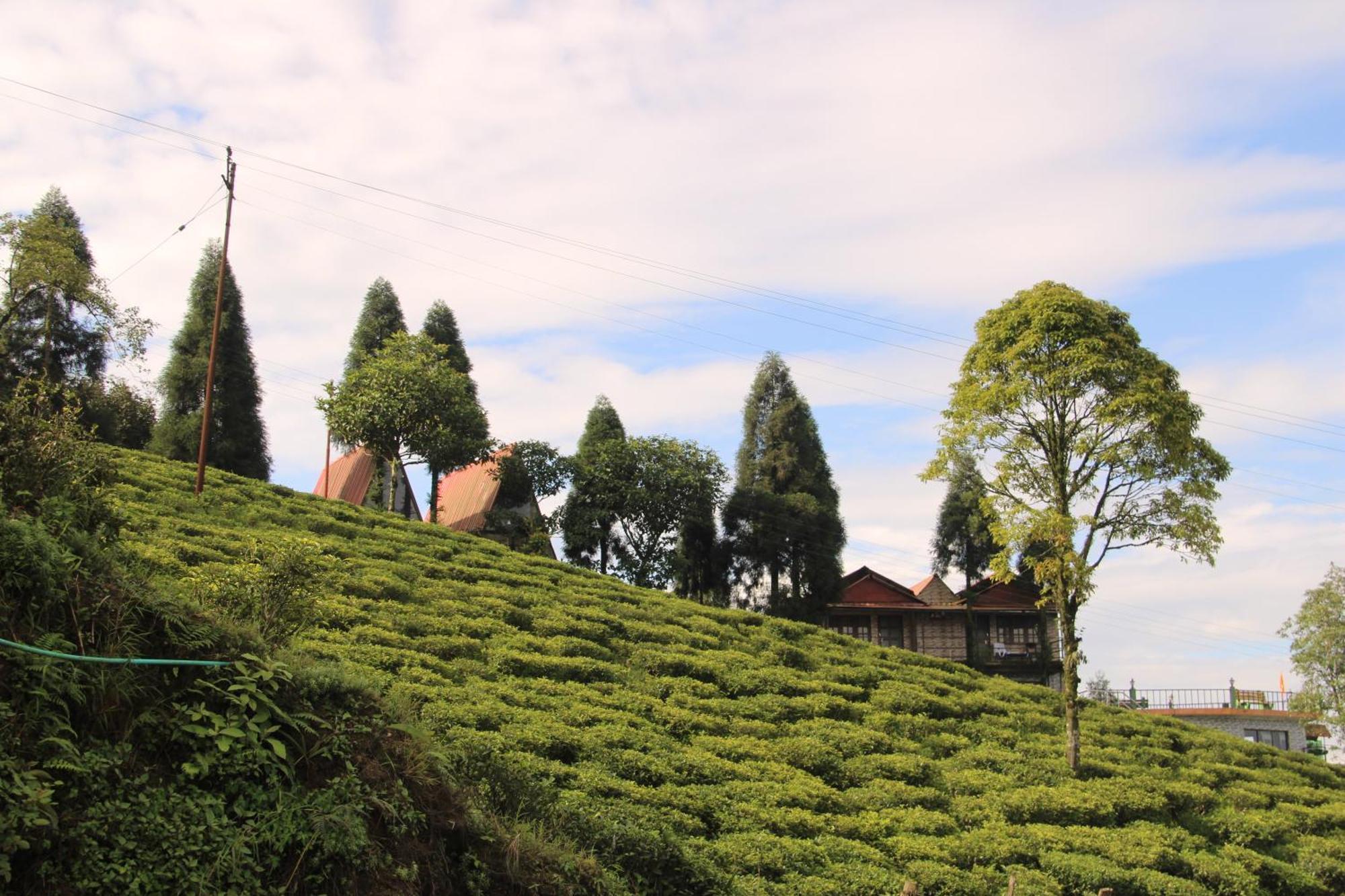 Montavilla Eden Sittong Homestay