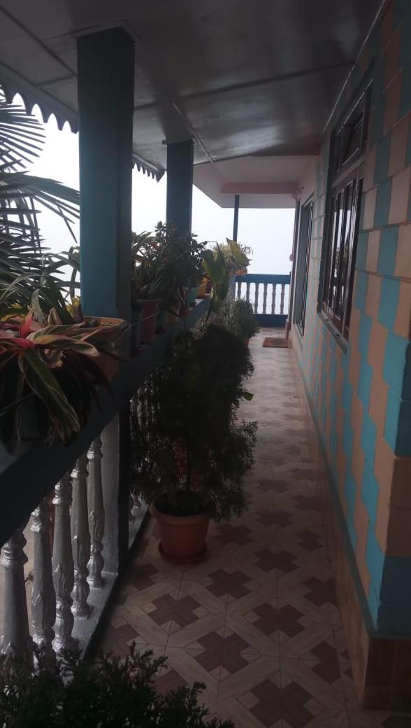 Homestay Vamoose Sanjeema Tea Estate Kurseong